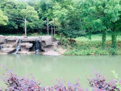 -宁波野生动物园
