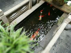 -唔呶喔哩酒家(生产街店)