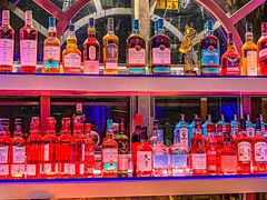 -Darling Queen·Mini·Live·House