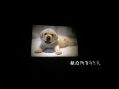 -天幕新彩云国际影城(激光巨幕店)