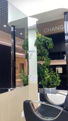 点击看大图 -CHANGE 美发烫染沙龙