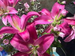 -循礼门鲜花花市(武汉循礼门店)