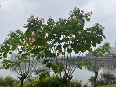 -眉山湿地公园(东坡区)
