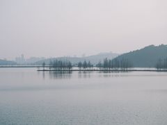 -东湖落雁景区