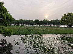 -闻莺馆(柳浪闻莺店)