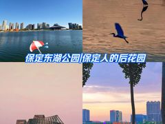 -保定东湖公园(莲池区)