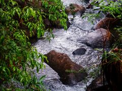 -广州白江湖森林公园