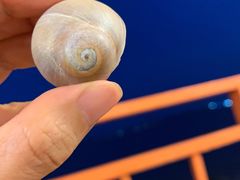 -沈家门海鲜夜排档(东港店)