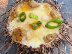 -海胆小馆(东北水饺·春柳店)