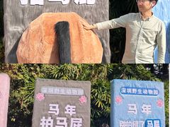 -深圳野生动物园