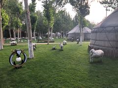 -九十九顶毡房(阜石路店)