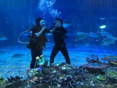 -华夏文旅海洋公园