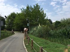 -贵阳市花溪国家城市湿地公园