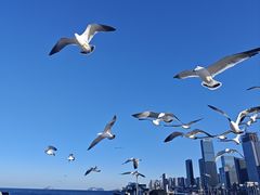 -东港音乐喷泉广场