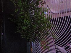 -华夏良子·足道SPA艾灸(金皇大厦店)