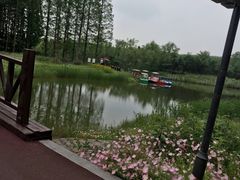 -黄海国家森林公园