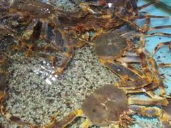 -渔民新村(番禺总店)