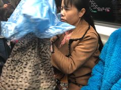 -蒲黄榆(地铁站)