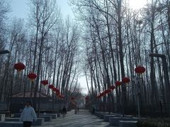 -仁和公园(顺义区)