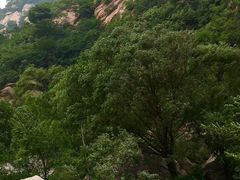 -碓臼峪自然风景区