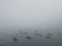 -枸杞岛