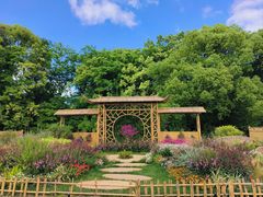 -上海共青森林公园