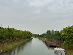 -上海海湾国家森林公园