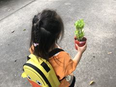 -昱南托育园.托班晚托.寒暑假班