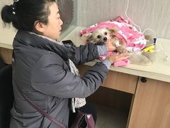 -爱派特动物医院·全科诊疗中心