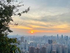 -南山植物园