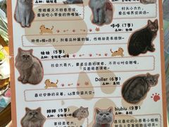 -小时光咖啡馆(北锣鼓巷店)