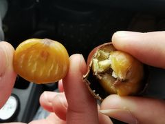 -黑孩油栗皇(南阳路店)