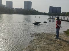 -美兰湖景区