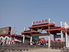 -曹州牡丹园