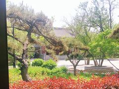 -迎泽公园