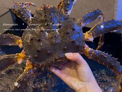 -海景壹号大酒店(滨湖店)