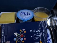 -新加坡航空公司(ION)