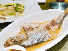 清蒸石斑鱼-燕云楼(云南路店)