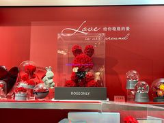 -ROSEONLY诺誓(广州K11店)