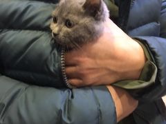 -宠颐生宠物医院·综合诊疗(先锋分院)