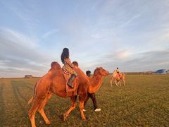 -呼和诺尔旅游景区