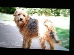 -金逸影城(明发IMAX店)