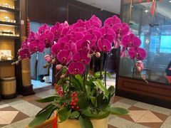 -湖畔居茶楼(湖滨店)