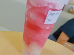 多肉葡萄-鼓捣猫呢主题猫咖店