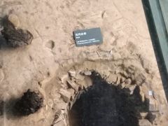 -南越王博物院(王宫展区)