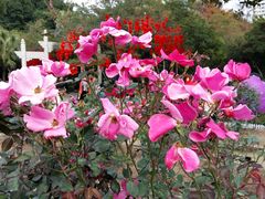 -人民公园(罗湖区)