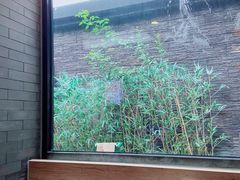 -毛辣果·贵州红酸汤牛肉火锅(西单店)