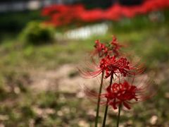 -江南大学(蠡湖校区)