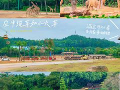 -广州长隆野生动物世界