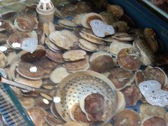 -港畔赶海蒸汽海鲜烧烤自助(仙螺岛店)